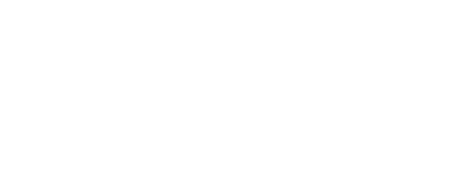 Brenneke Ammunition